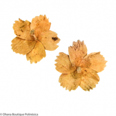 Aros Kapa Hawaii | Hibisco Aros Kapa Hawaii | Hibisco