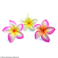 Flores Foam Hawaii | Plumería 'Ekahi Colores